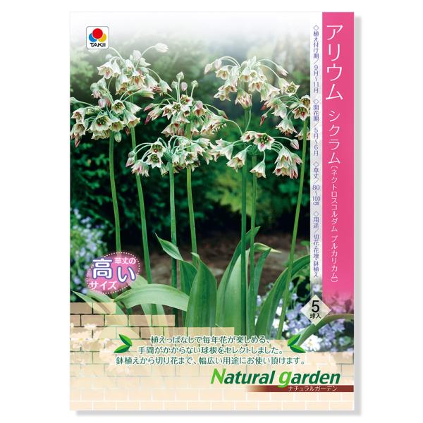 観葉植物 切り花の人気商品 通販 価格比較 価格 Com