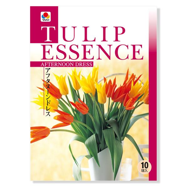 球根 チューリップの人気商品 通販 価格比較 価格 Com