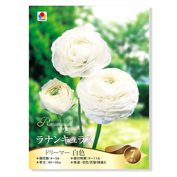 ラナンキュラス 種の人気商品 通販 価格比較 価格 Com