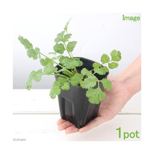 iϗtAjn[uc@pN`[iRA_[j@R`RDTiP|bgj@ƒ؉@