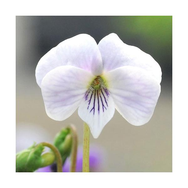 iR쑐jX~i俁j~XYX~@璹@QDT`RiP|bgjixԁj