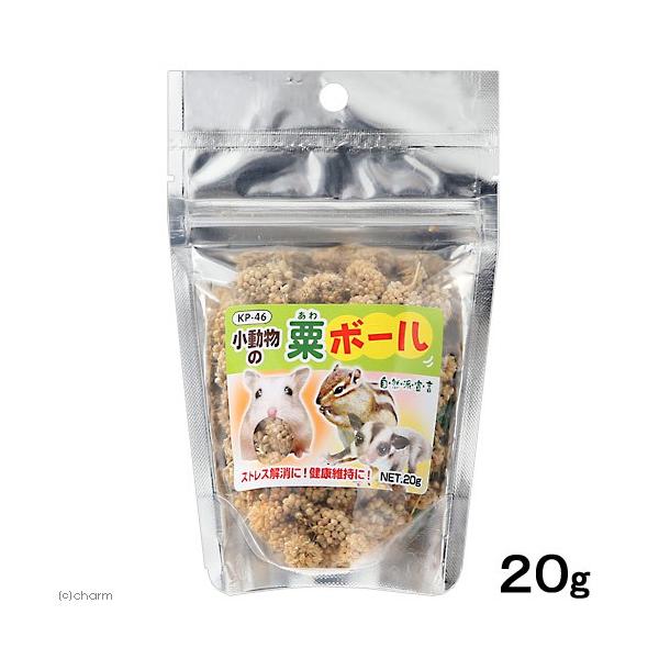 ybgt[h@Rh錾@{[@QO@@nX^[@X@K