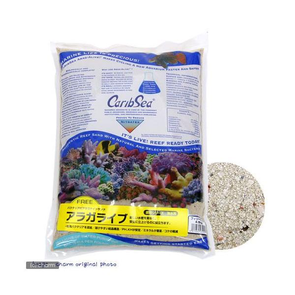 J~n^@JuV[@AKCu@tBW[sN@CuTh@POiSDTj