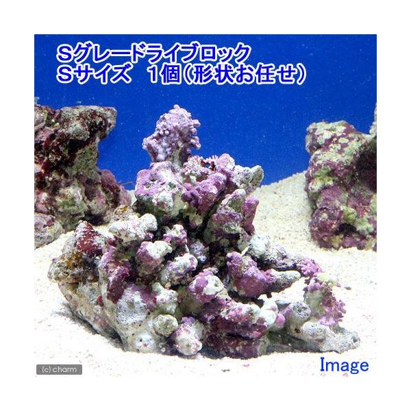 iCjrO[hCubN@rTCYiPji`󂨔Cj@kCEBq֗vۉ