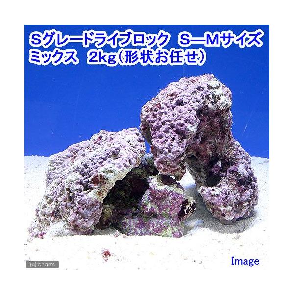 （海水魚）Ｓグレードライブロック　Ｓ−Ｍサイズミックス（２ｋｇ）（形状お任せ）　沖縄別途送料