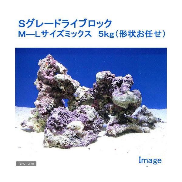 iCjrO[hCubN@l|kTCY~bNXiTji`󂨔Cj@kCEBq֗vۉ