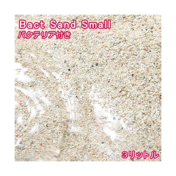 海水魚 ばくとサンド 立上げ簡単サンド スモール ３リットル バクテリア付き ライブサンド 航空便不可 Buyee Buyee 日本の通販商品 オークションの代理入札 代理購入