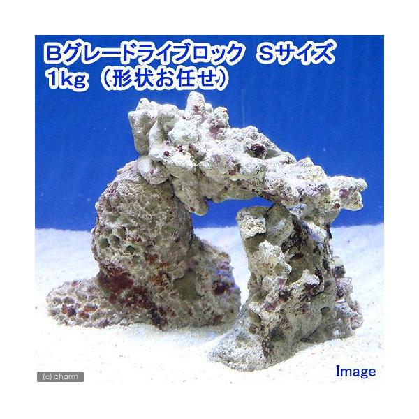 iCjaO[hCubN@rTCYiPji`󂨔Cj@kCEBq֗vۉ