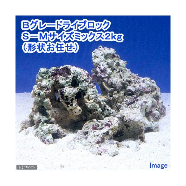 iCjaO[hCubN@r|lTCY~bNXiQji`󂨔Cj@kCEBq֗vۉ