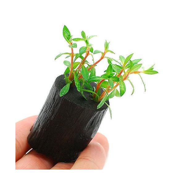 ijj[h[t@hEBWAitjO|bgti_jiPj