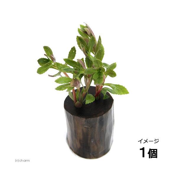 ijj[I_vgitjO|bgti_jiPj