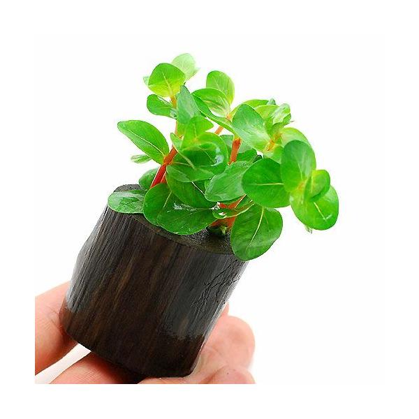 ij^@CfBJitjO|bgti_jiPj