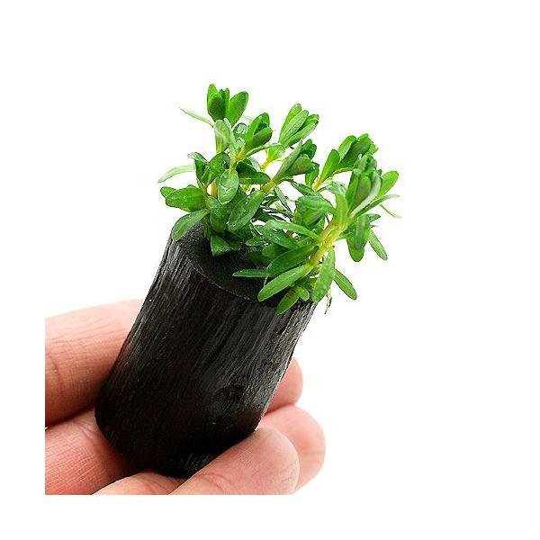 ij^@iZAitjO|bgti_jiPj