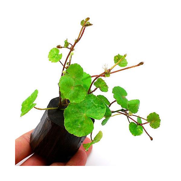 ijA}]`hOT@O|bgtitji_jiPj