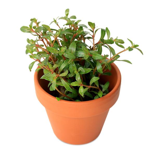 ijfĂ@AOACA@bh^itji_jiPj