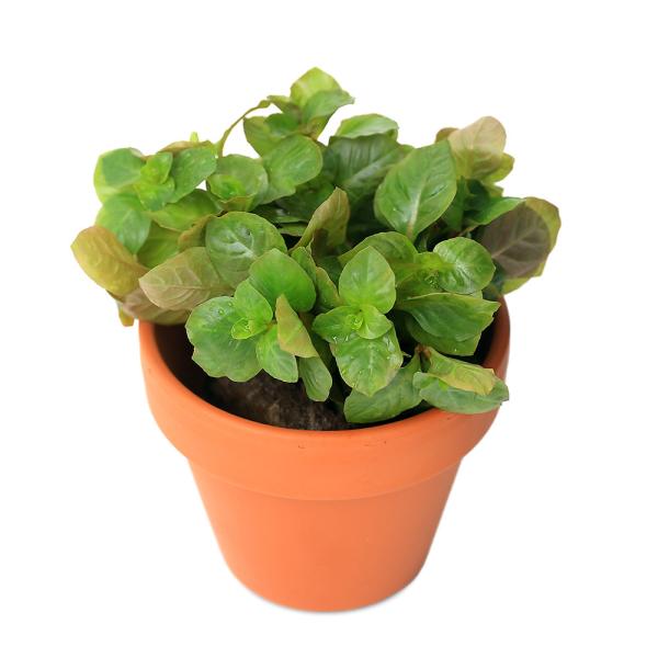 ijfĂ@hEBWA@IoXi~YLmV^jitji_jiPj