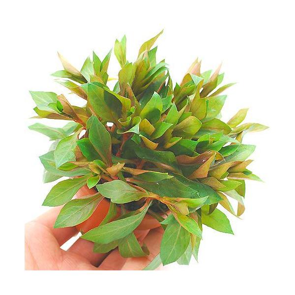 ijfĂ@hEBWA@yX@ritji_jiPj