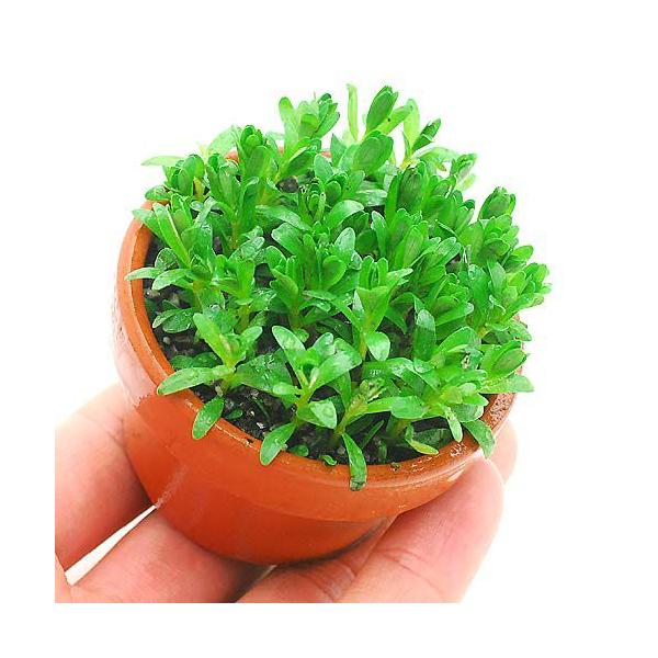 ijfĂ@^@iZAitji_jiPj