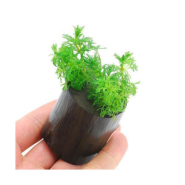 ijAuA@O|bgtitji_jiPj