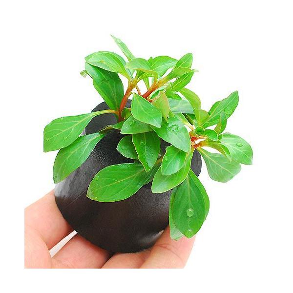 ijhEBWA@i^XiC{CXjitjO|bgti_jiPj