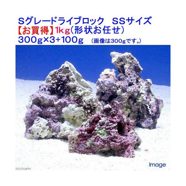 （海水魚）Ｓグレードライブロック　ＳＳサイズ（１ｋｇ）（形状お任せ）