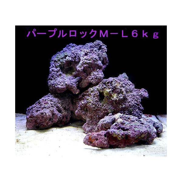 iCjCubN@dwrO[h@p[vbN@l|kTCY~bNX@Ui`󂨔Cj@kCEBq֗vۉ