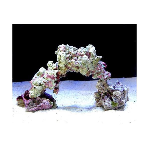 iCjCubN@~jA[`Zbgi`󂨔Cj@kCEBq֗vۉ