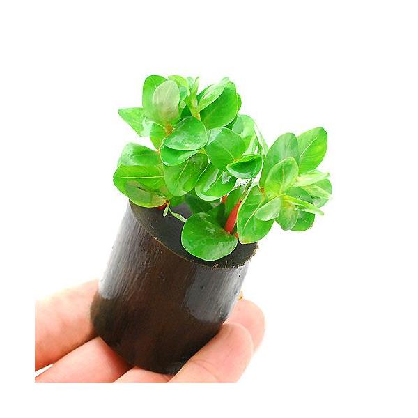 ij^@gfBtHAitjO|bgti_jiPj