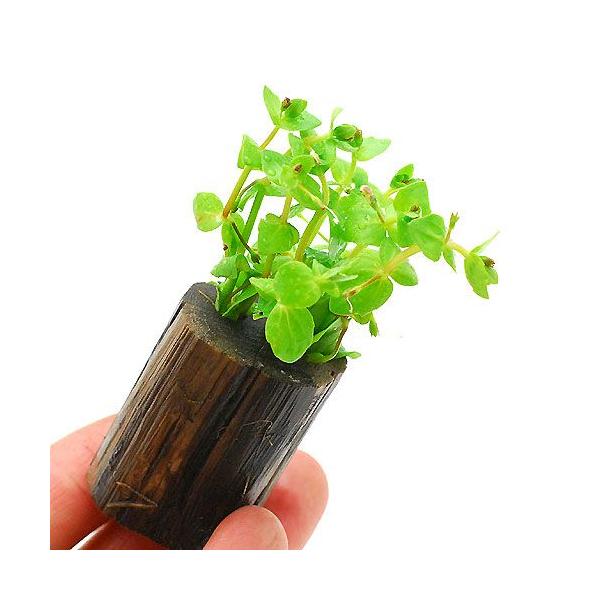 ijh}AR_[^itjO|bgti_jiPj