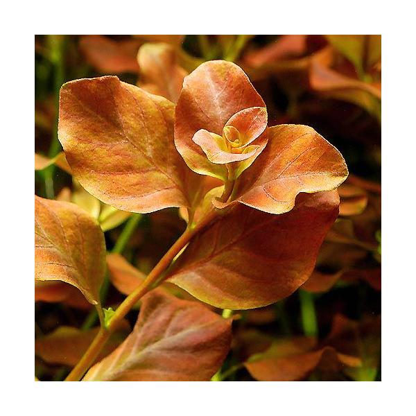 ijA@hEBWA@IoXi~YLmV^jitji_jiPj