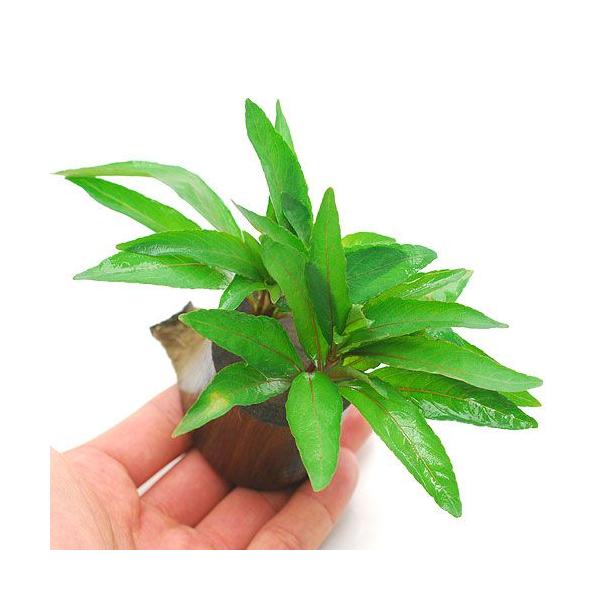 ijnCOtB@OuiC{CXjitjO|bgti_jiPj