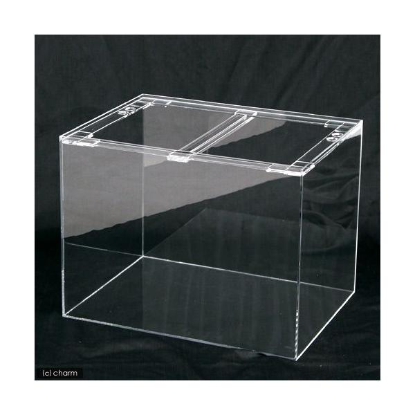 [J[@@AN@ANNA^NiVT×ST×STET×T×SjVT@ʓr^萔EsEs