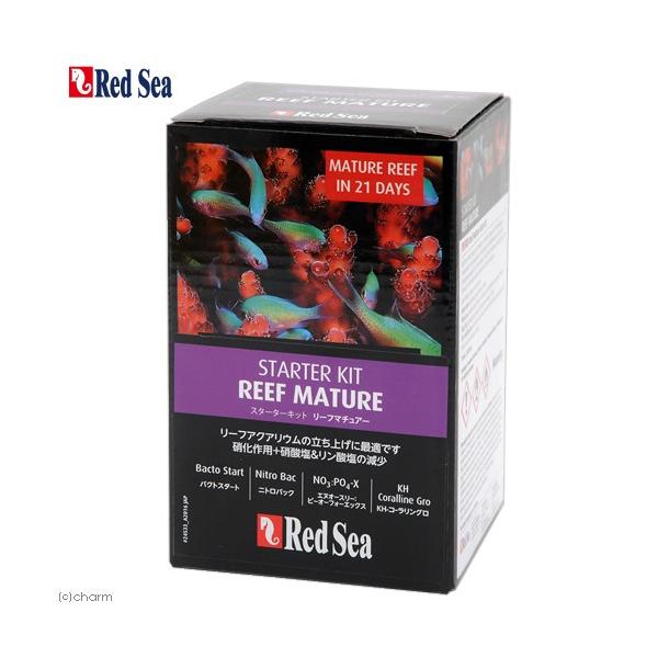 bhV[@lbo@[t}`A[v@Cp@X^[^[Lbg