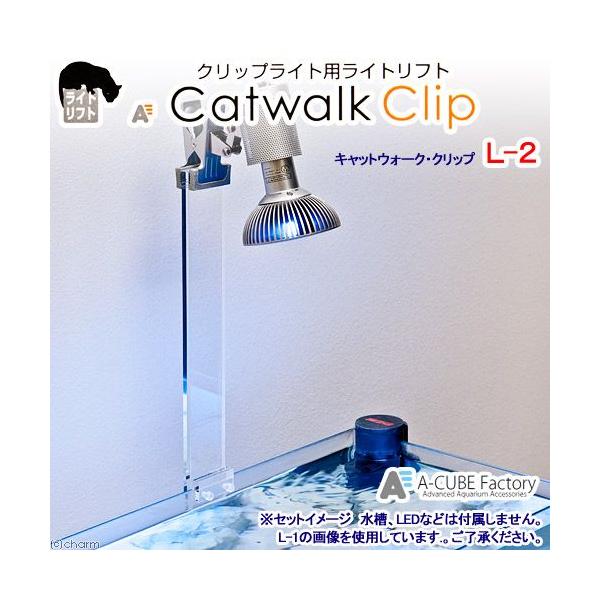 NbvCgpCgtg@LbgEH[NENbv@k|QiKKXW`POj