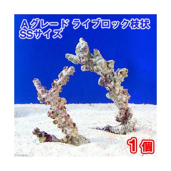 iCj`O[hCubN@}rrTCYiPji`󂨔Cj@kCEBq֗vۉ