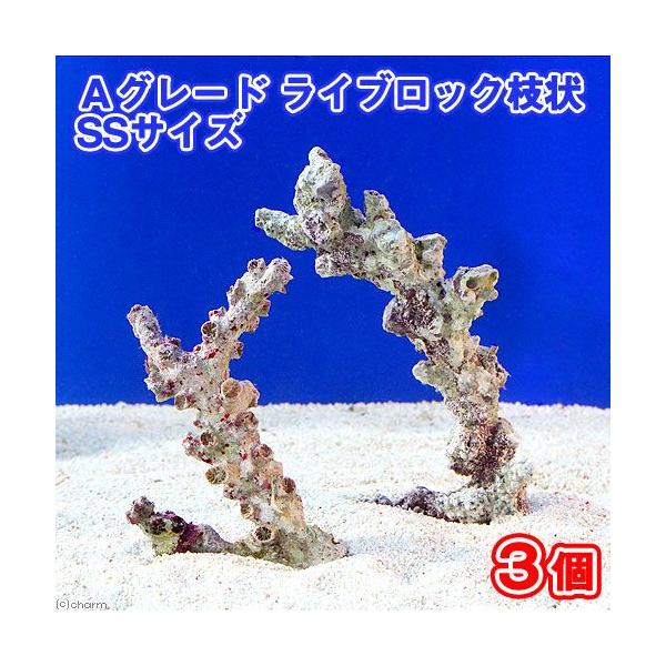 iCj`O[hCubN@}rrTCYiRji`󂨔Cj@kCEBq֗vۉ