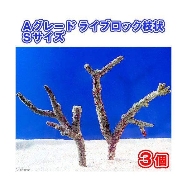 iCj`O[hCubN@}rTCYiRji`󂨔Cj@kCEBq֗vۉ