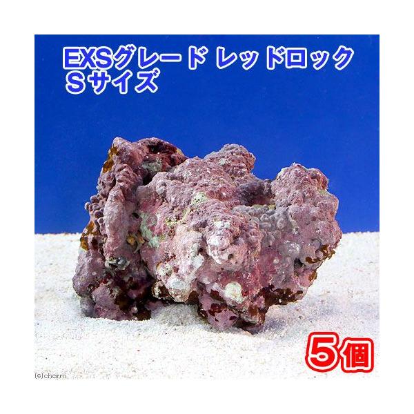 ライブロック　Sグレード16個　約8.2ｋｇ チャーム（ペット） （海水魚）ライブロック EXSグレード
