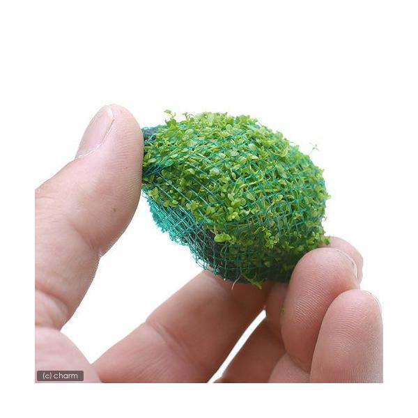 ijā@L[op[{[itji_jiPj