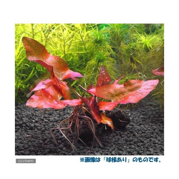 ijiV肠j^Cjt@@i_jiPj