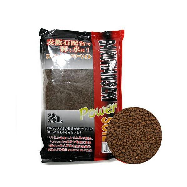 \lP~t@@ѐ΃p[\C@@@Rk@Mы@pi