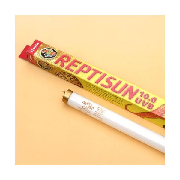 @ynnldc@veBTPODOtua@PTv@iaQDT×STj@STp@sW