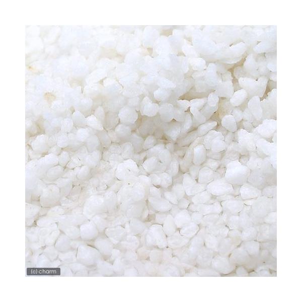 mDPPV@v@rizCgXg[jTOOiQOȉpj