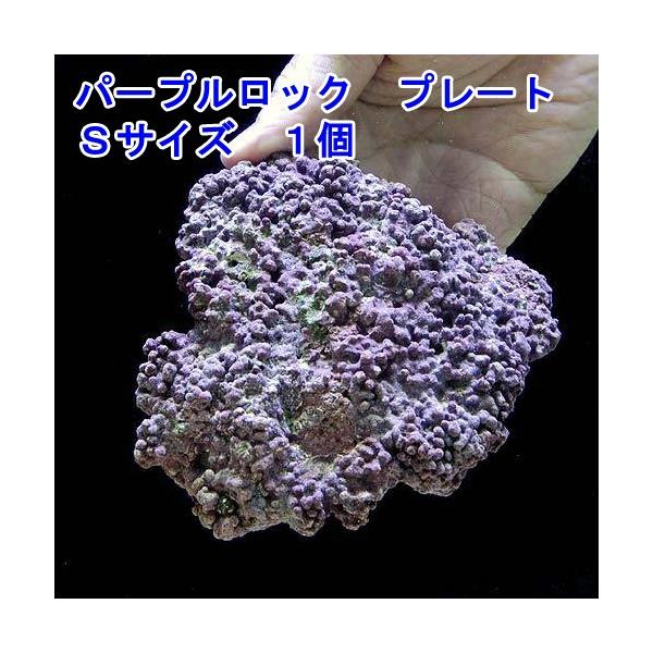 iCjCubN@dwrO[h@p[vbN@v[g^Cv@rTCYiPji`󂨔Cj@kCEBq֗vۉ