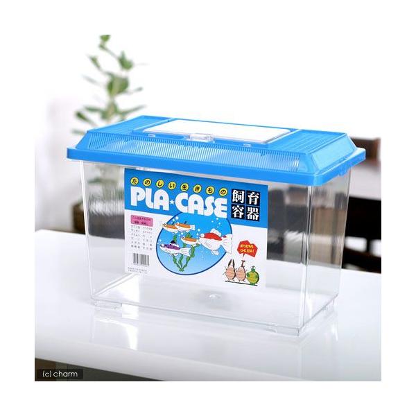 vP[X@e@@iRUT×QPT×QTOj@@@_J@UKj@ނȂǁ@llR_