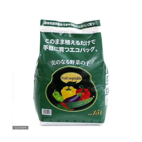 ؂̓y@˃ԉ@̂Ȃ؂̓y@PTk@GRobN@|@y@llQ_