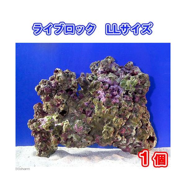 iCjCubN@kkTCYiPji`󂨔Cj@kCEBq֗vۉ