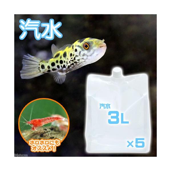 アクアリウム用品　◎　人工海水・底床　海水　人工　天然海水　アクア用品　その他　オカヤドカリ用品　足し水くん汽水　海洋深層水ma　ピクシーシュリンプ　ホロホロシュリンプ　ミドリフグ　20151015　SA　tuikasp_yh1010　ta...