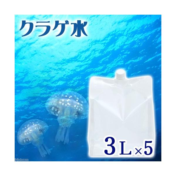 iCj@VRCuNQviCm[wj@RbgiT܃ZbgjNQ@ANAE@q֕s@s