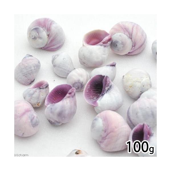 Lk@VFRNV@p[vVFiN`TLTShj@POO